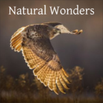 Natural Wonders Natural Wonders